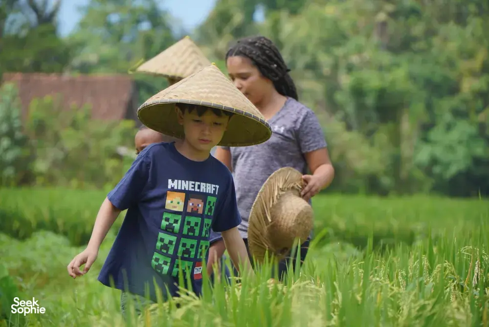 Seek Sophie option picture