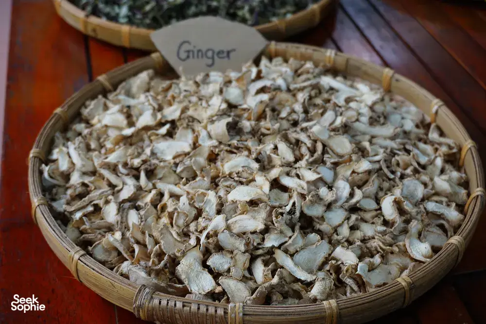 Seek Sophie option picture