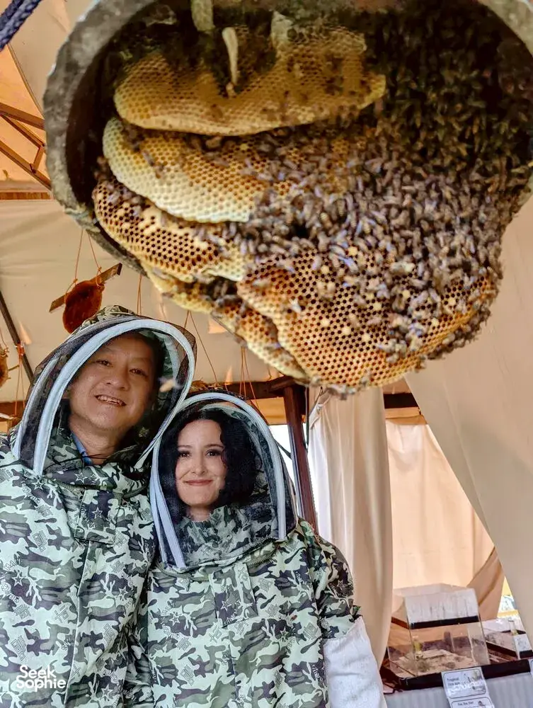 Seek Sophie option picture