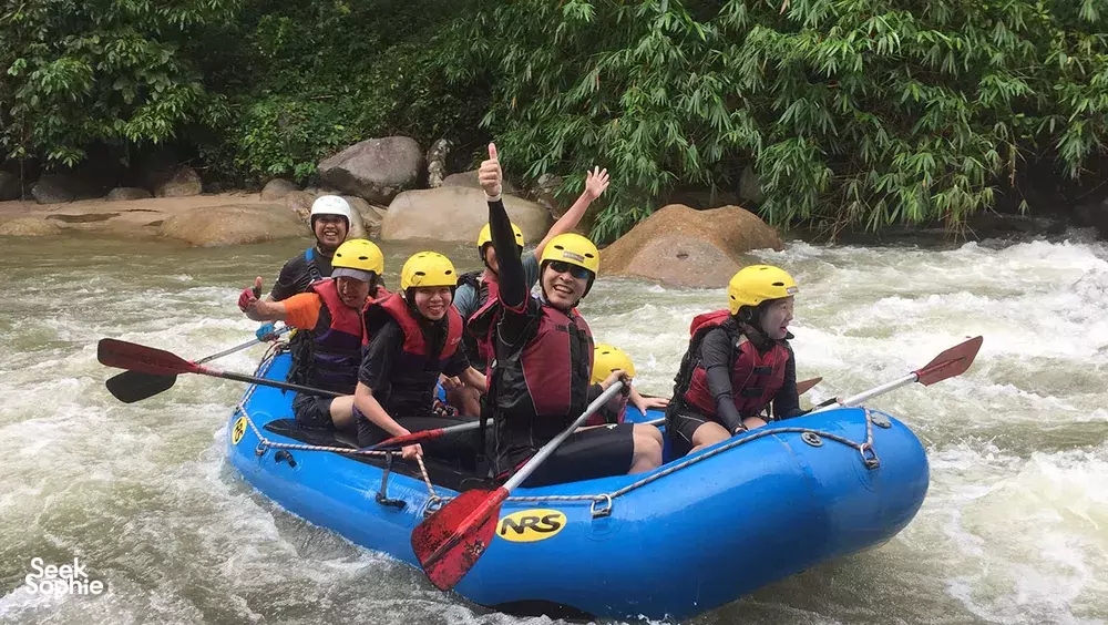 Seek Sophie option picture