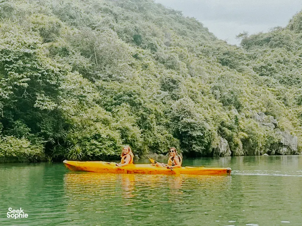 Seek Sophie option picture