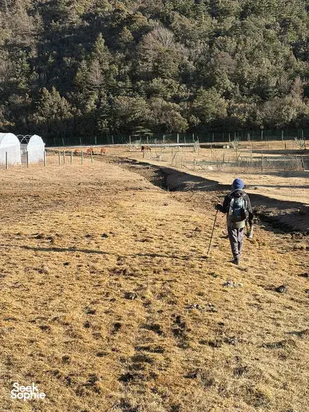 导游带领的一天徒步登山，登上翡翠龙山的第一峰｜避开人群