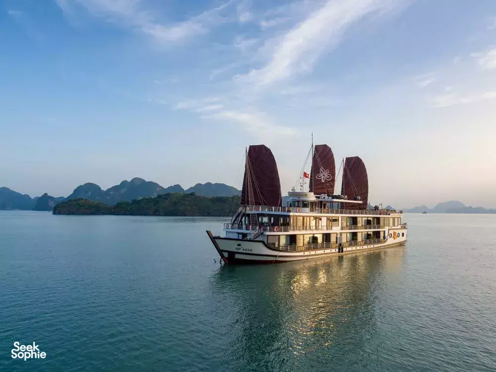 Seek Sophie option picture