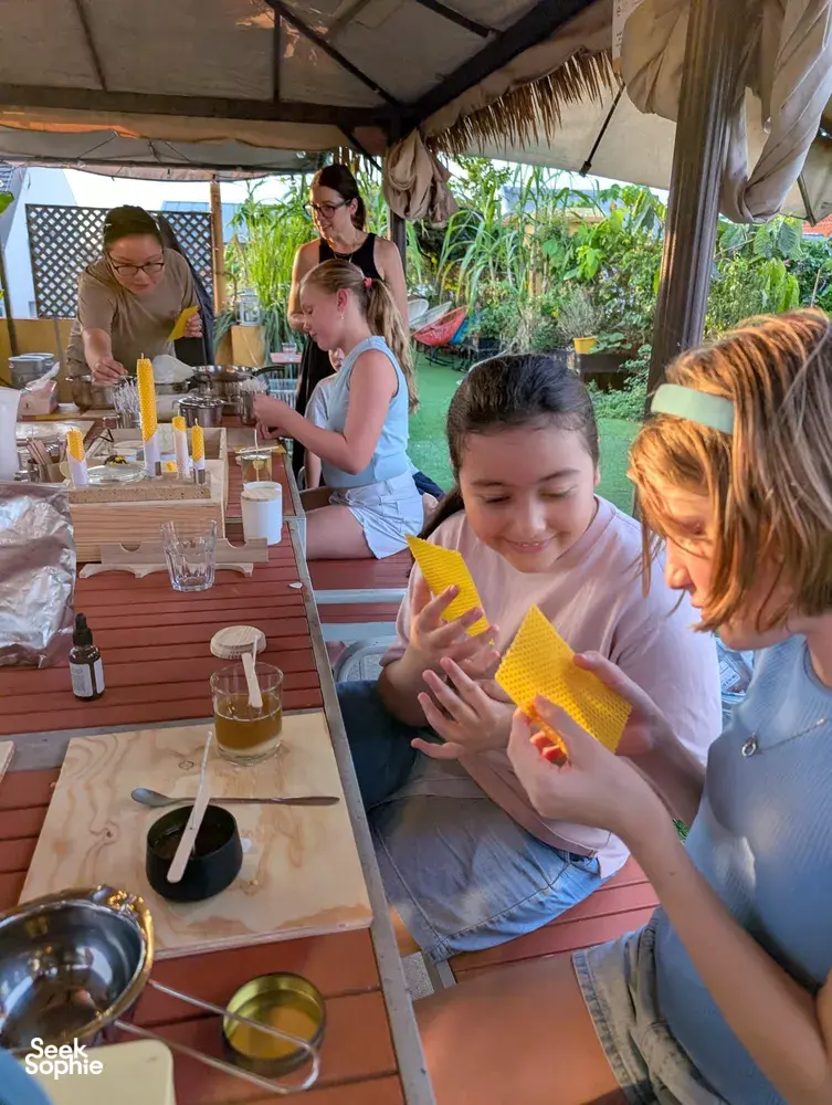 Seek Sophie option picture