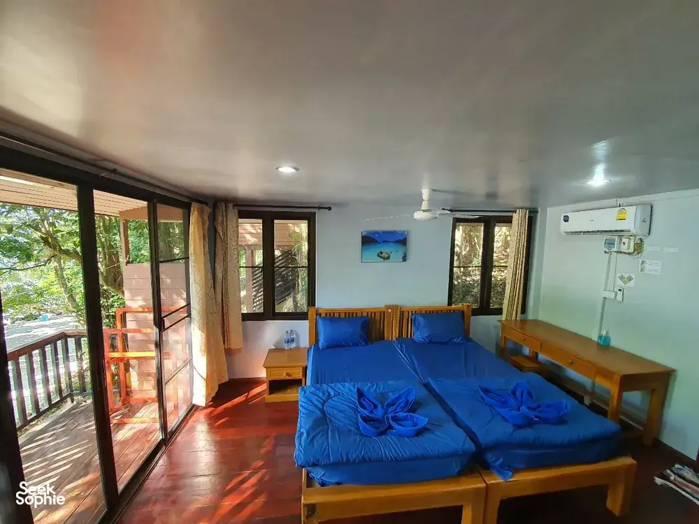 Seek Sophie option picture