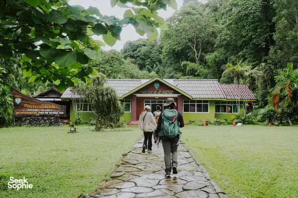 Full Day Jungle Adventure with Conservation Hero 