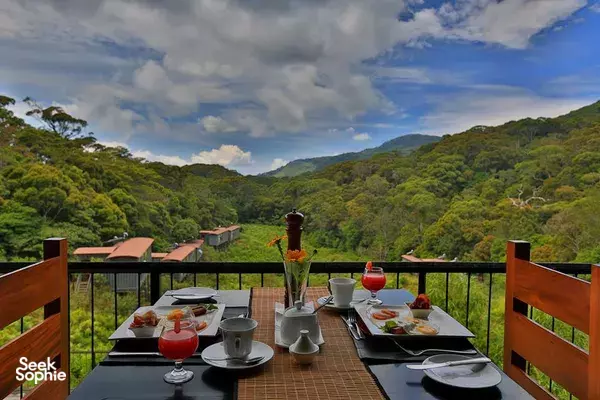 1D1N Sinharaja Rainforest | Stylish Ecolodge Retreat & Hike