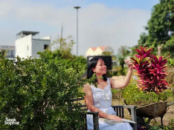 Discover the Healing Magic of Plants with Seasoned Herbalist