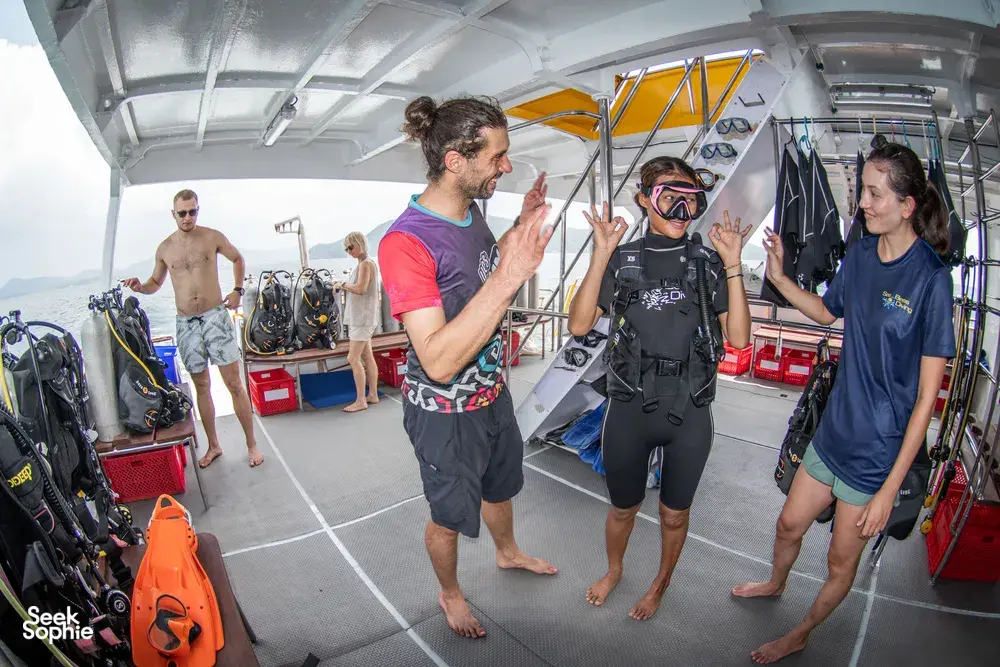 Seek Sophie option picture