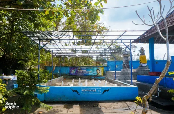Blue-walled sea turtle holding pool enclosure with fencing and educational banners at a conservation site in Bali