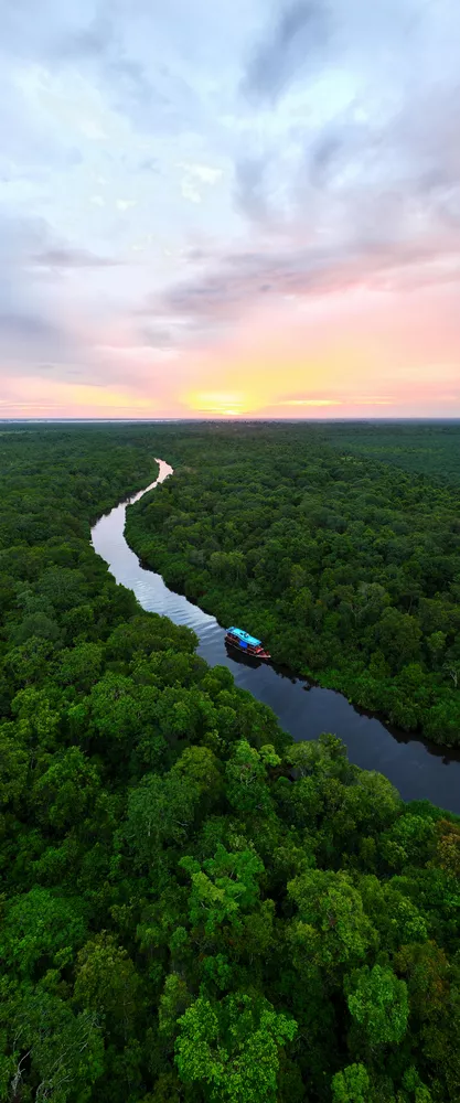 What is Tanjung Puting