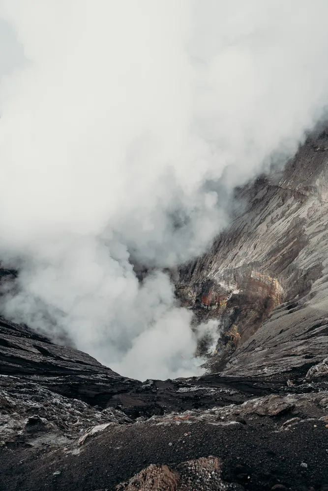 Seek Sophie option picture