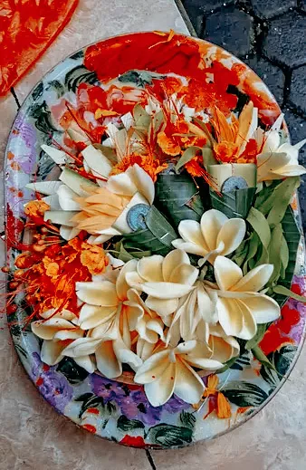 学习 Canang Sari 的艺术