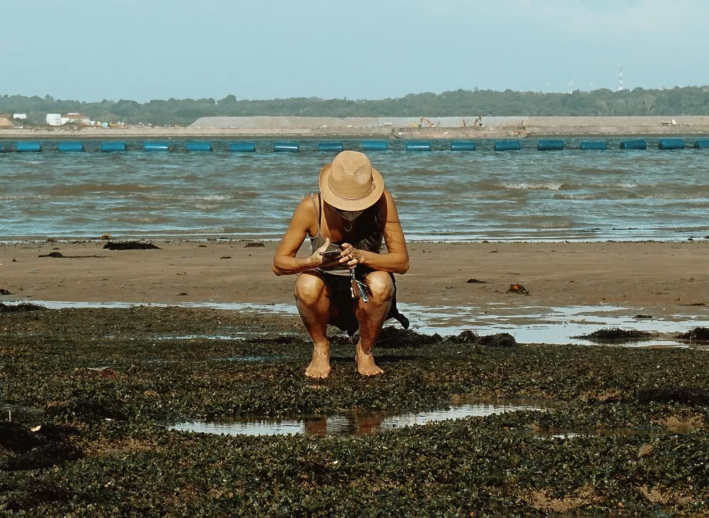 Uncover hidden wildlife