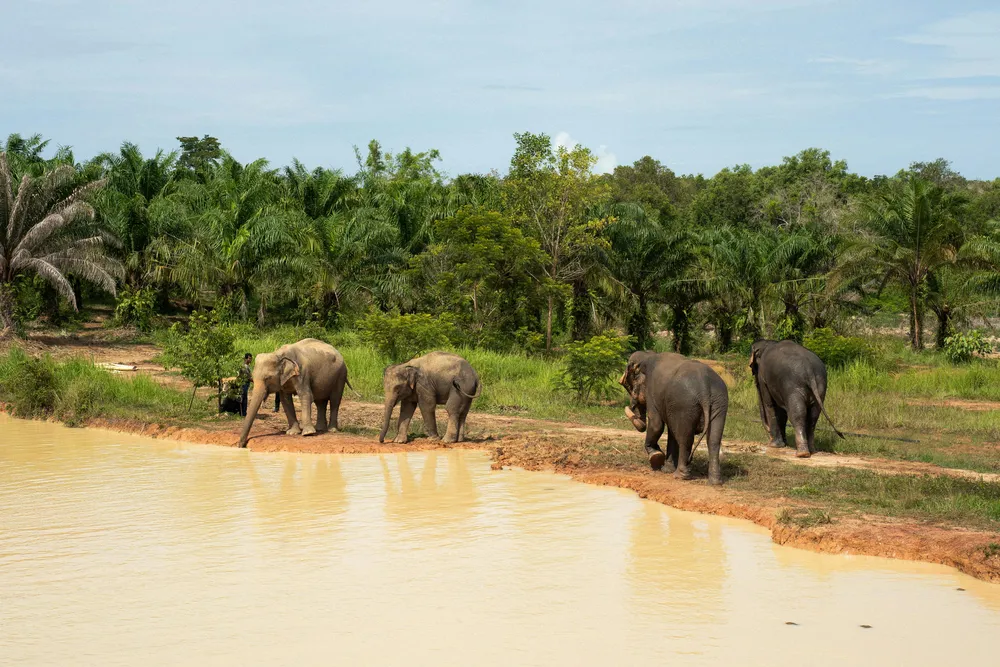 Observe from a distance