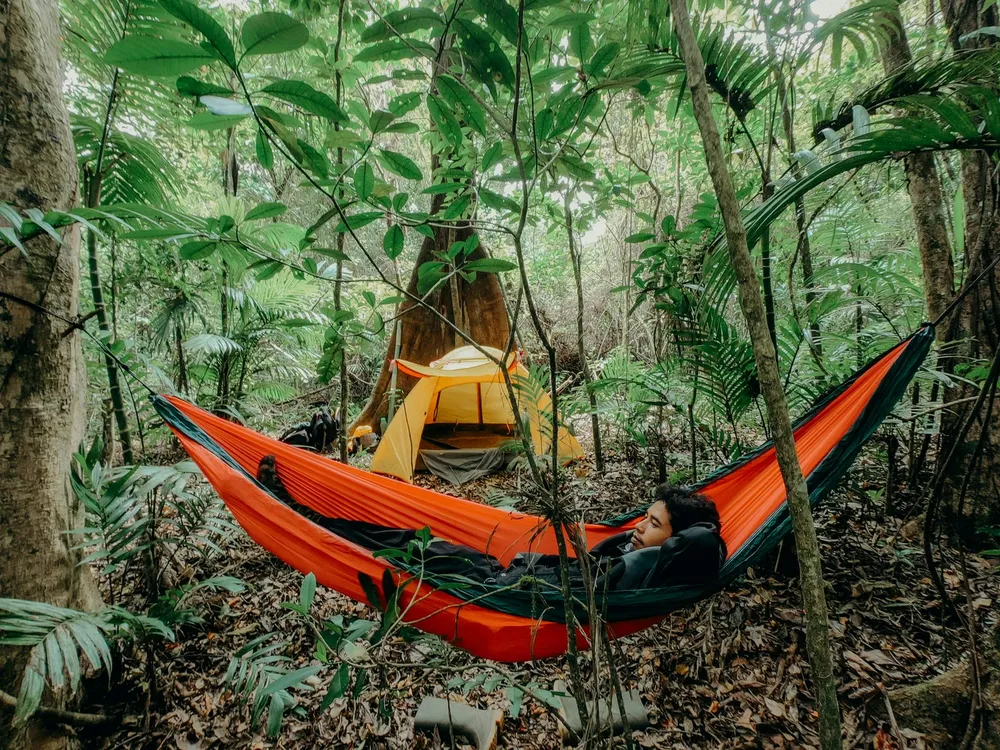 3D2N Jungle Survival