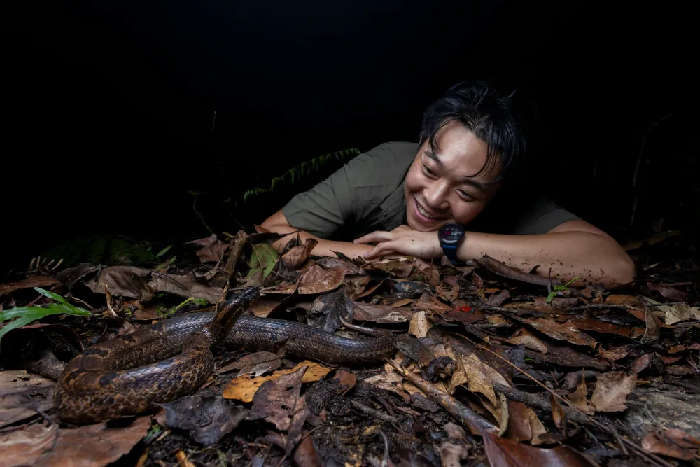 Snakes: misunderstood, feared, to be avoided?