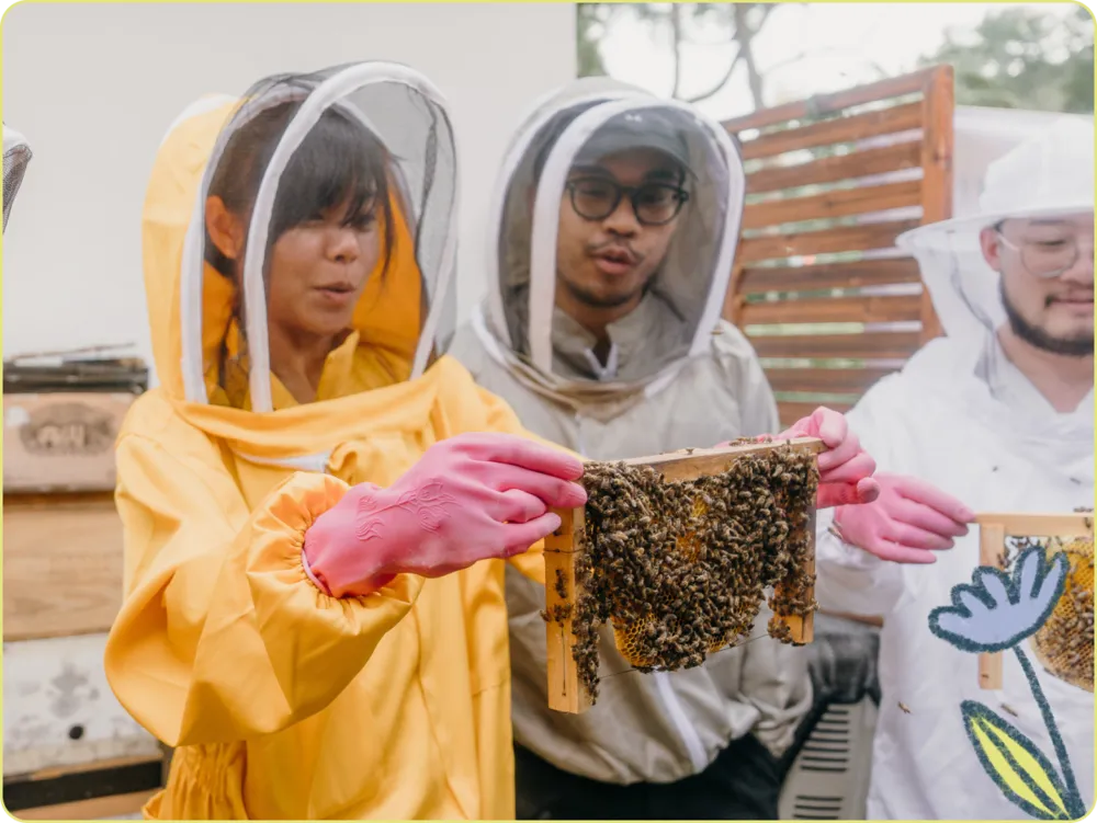 Meet rescued bees at a rooftop farm