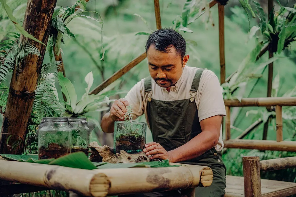 Saving the fireflies has become Wayan's mission in life.