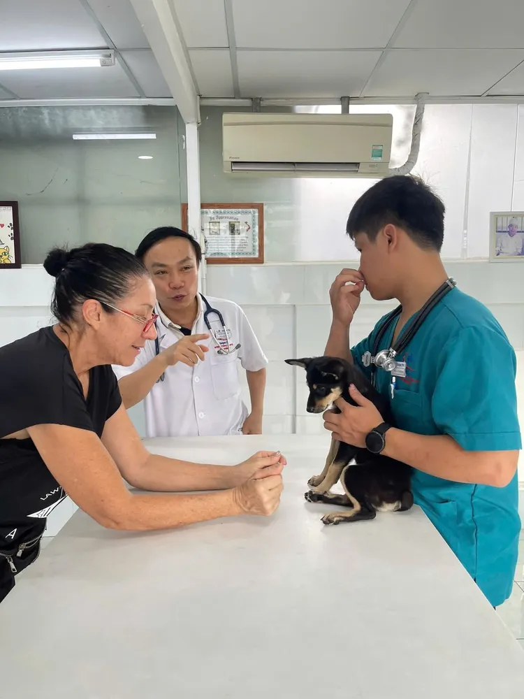 A vet clinic opened near Elizabeth's home