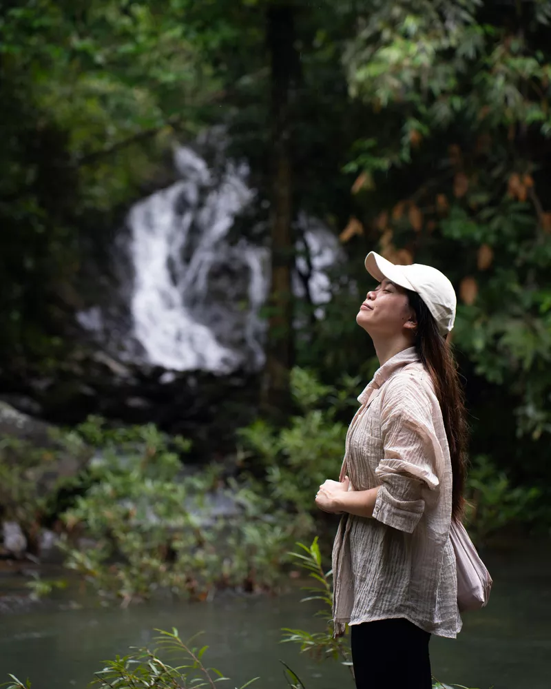 Jungle Trekking
