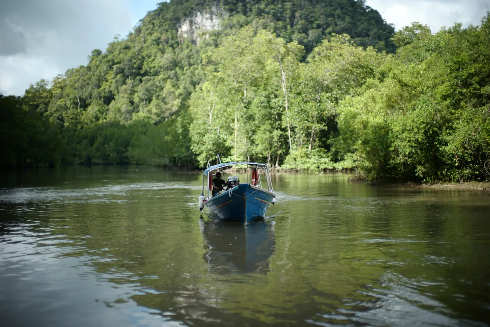 Boat with passengers cruising a calm river through dense green rainforest in Langkawi, with Kubang Badak Experiences