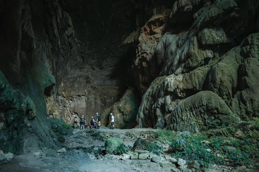 Apa yang bisa dilakukan di sini?