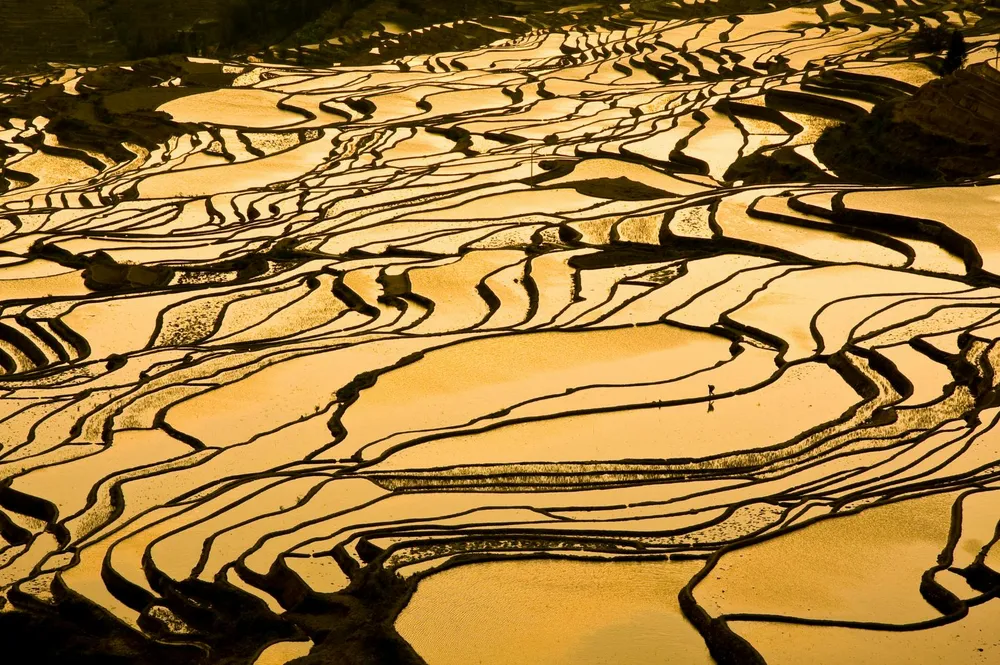 Come to Honghe for Yuanyang rice terraces