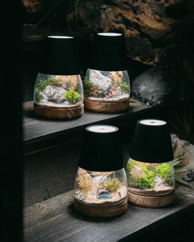 Terrariums in glass jars with small plants on wooden tables, set for a terrarium workshop in Singapore