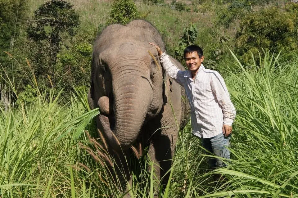 Burm with Mae Kam, the first elephant that they retired. Disclaimer: Close-contact photos feature Burm and Emily providing expert, close-proximity care. Guest experiences are strictly hands-off.