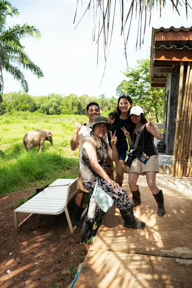 A seriously amazing day with the elephants