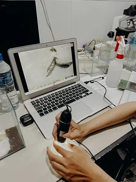 Firefly research in action.