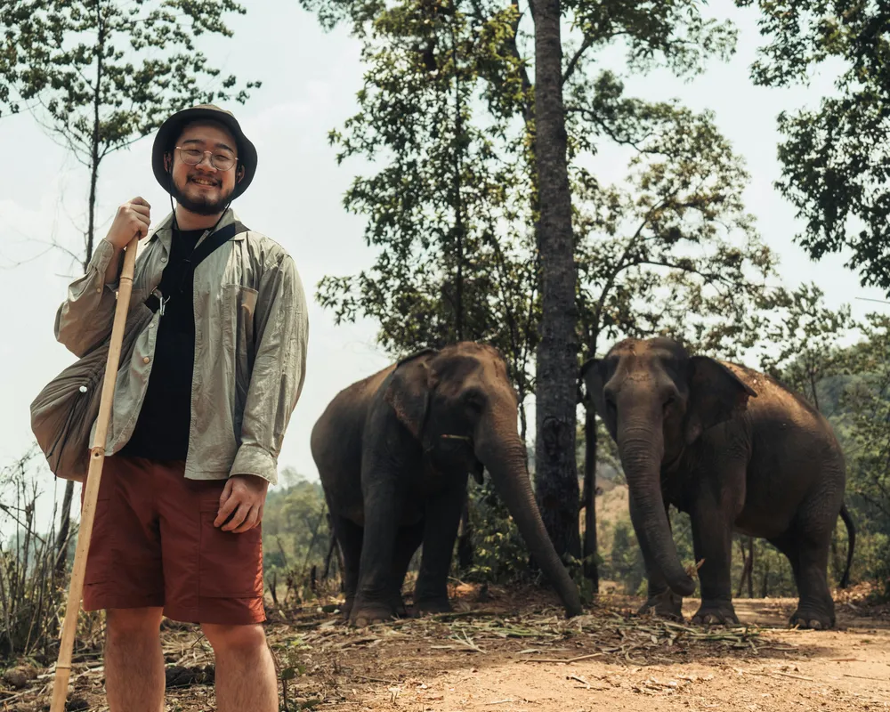 An ethical elephant sanctuary will have a distance between travellers and elephants