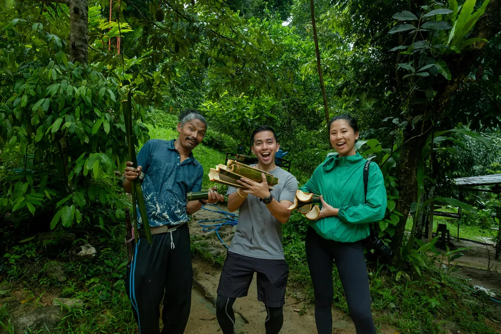 Helping to carry freshly cut bamboo