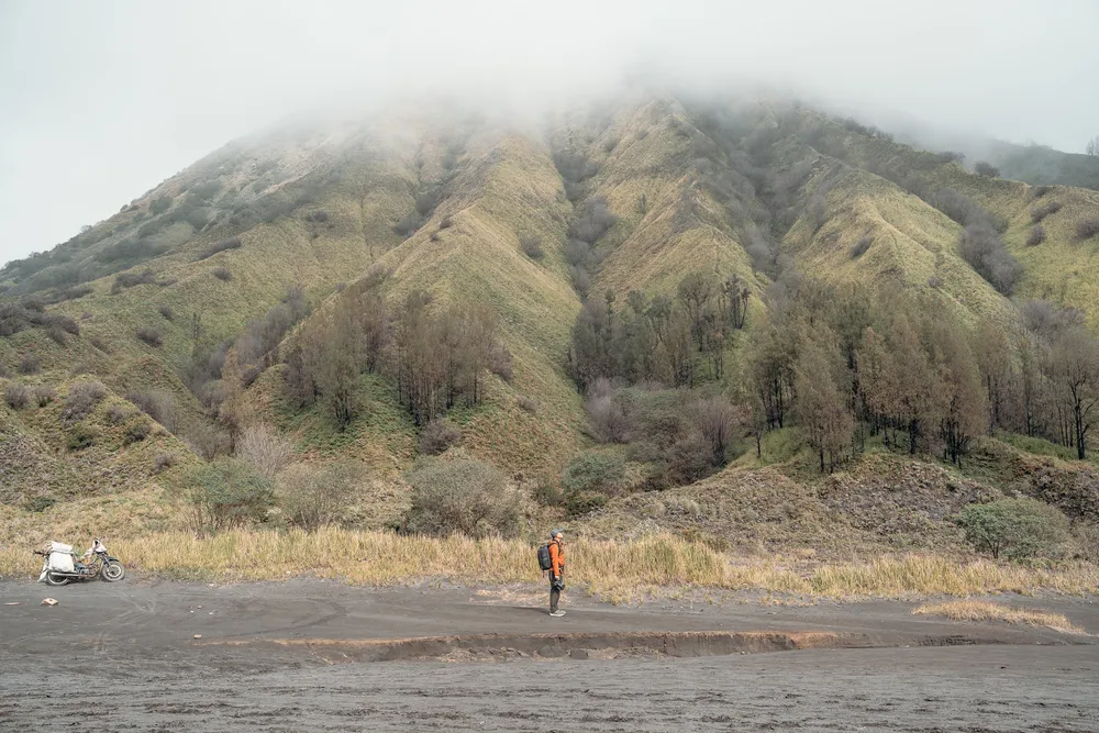 Seek Sophie option picture