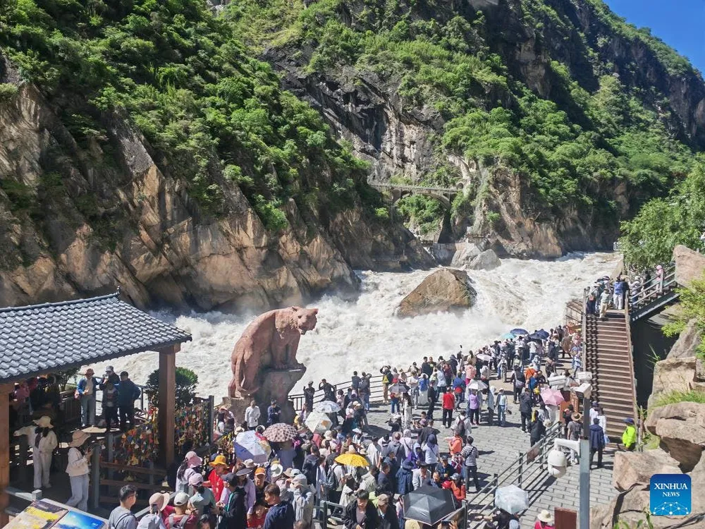 Crowds gather on a stone walkway as a brown bear stands near rock steps beside a canyon river, with green cliffs all around