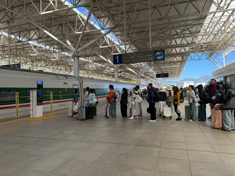 Passengers queueing in a modern covered railway station hall, standing with rolling suitcases and waiting beside platform signs