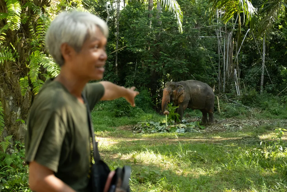 Sa telling us about how Tiny's favourite past time is to eat, a lot!