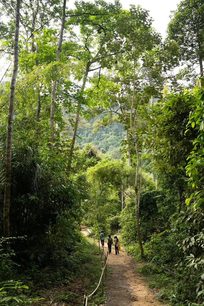 How hard is the hiking?