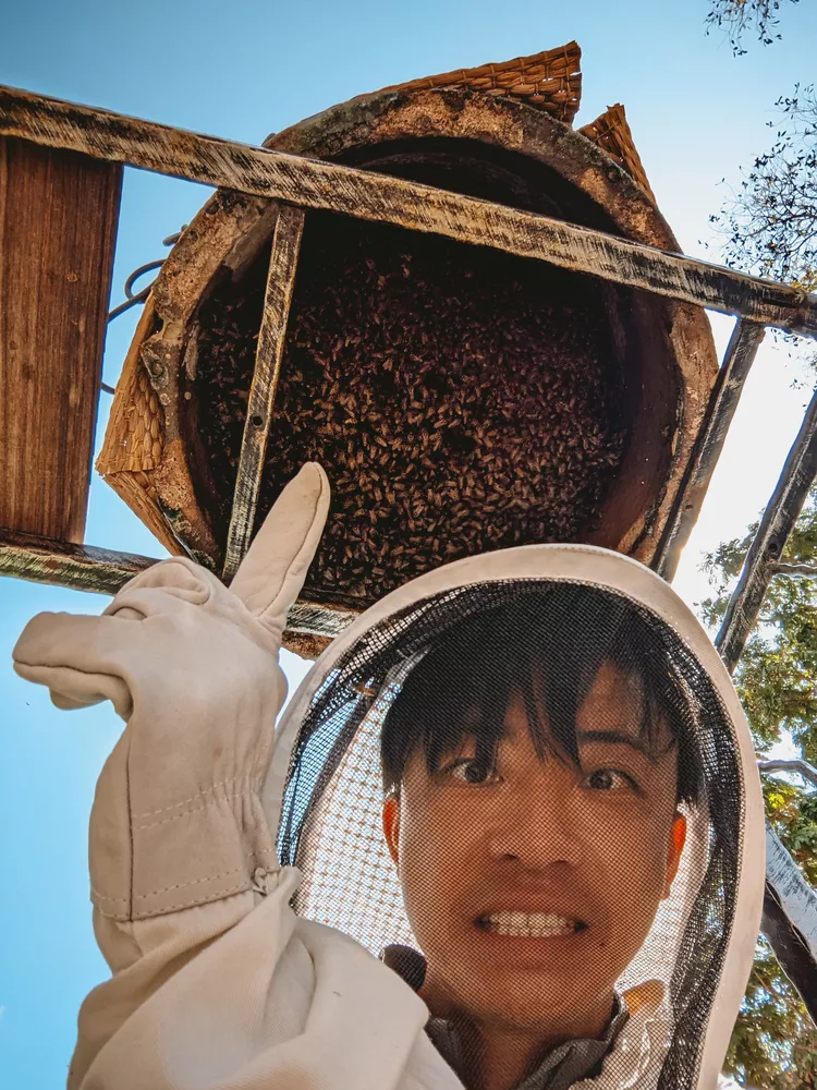 Clarence from The Unexpected, bee rescuer and keeper (among many other titles!)