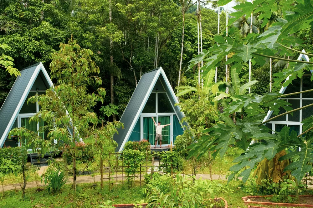 Outskirts of Khao Sok Village