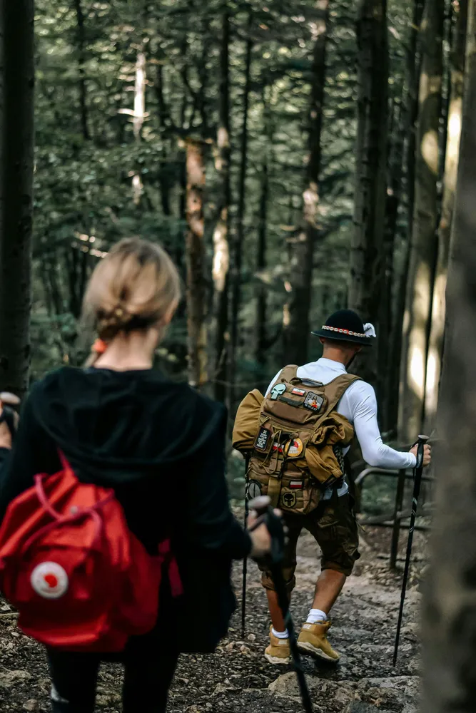 Hiker with a large trekking backpack walks along a forest path as others follow in soft focus, poles in hand