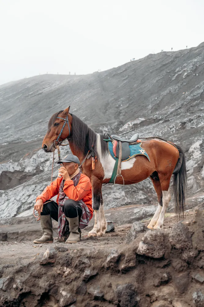 Seek Sophie option picture