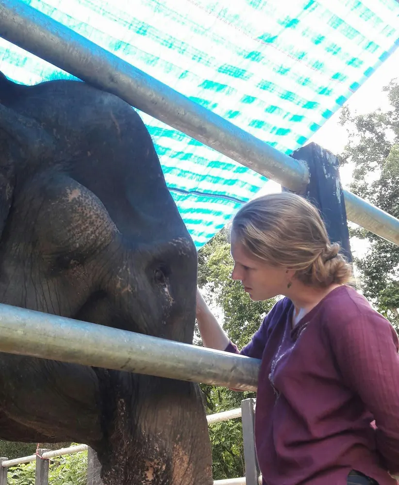 Disclaimer: Close-contact photos feature Burm and Emily providing expert, close-proximity care. Guest experiences are strictly hands-off.
