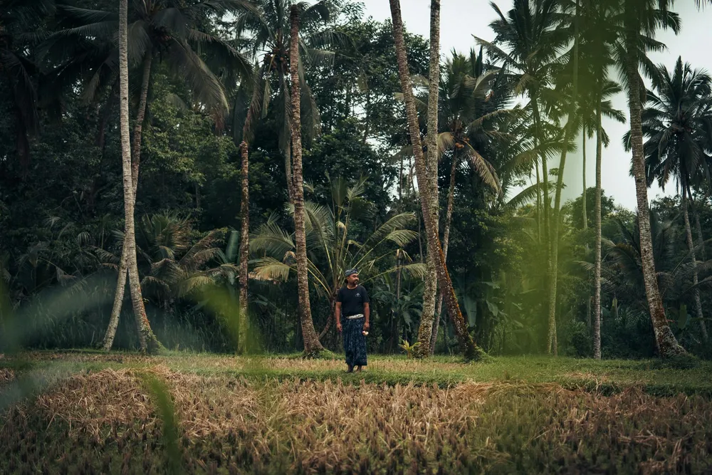Wayan on his family farm.
