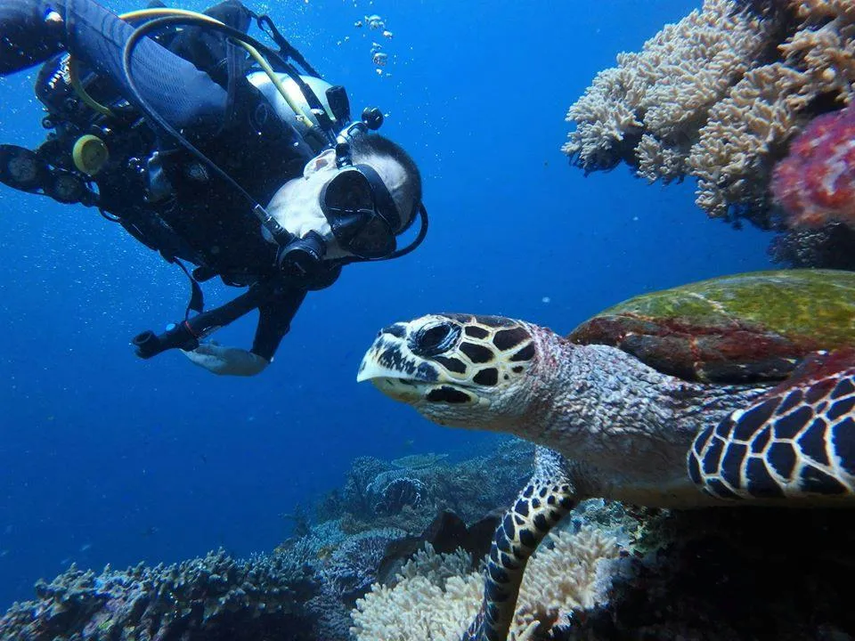 Komodo punya beberapa spot selam terbaik di dunia!