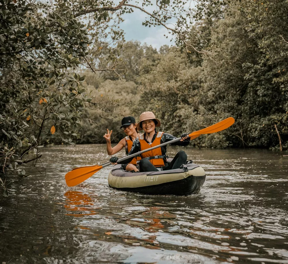 Mangrove kayaking