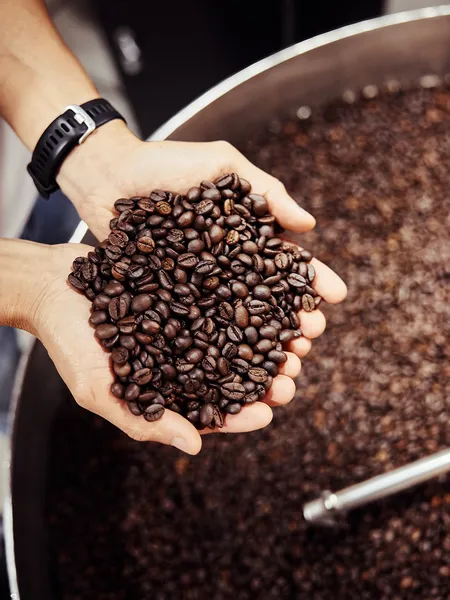 Hands holding roasted coffee beans in a ceramic bowl at a stall in Hoi An, part of an ancient trades motorbike tour