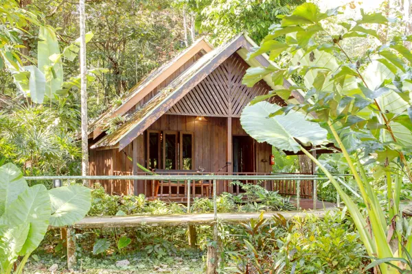 Timber cottage on stilts with a veranda, set among thick jungle foliage at Khao Sok Riverside Cottages, Khao Sok