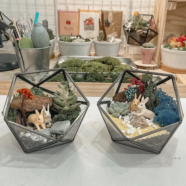 [GIFT] Create a Terrarium with Free-flow Materials!